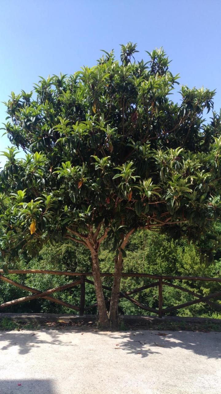 Laino Borgo Palia'S Hotel מראה חיצוני תמונה