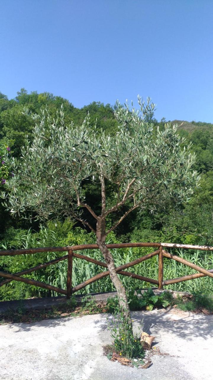 Laino Borgo Palia'S Hotel מראה חיצוני תמונה